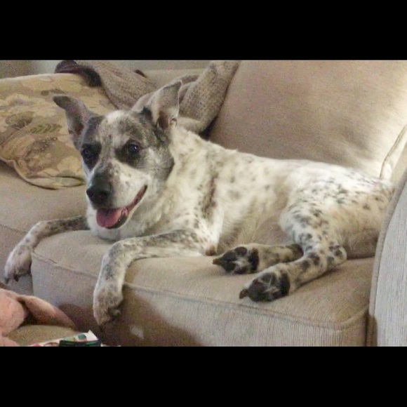 Meet your Posher, Susan - Picture 6 of 6